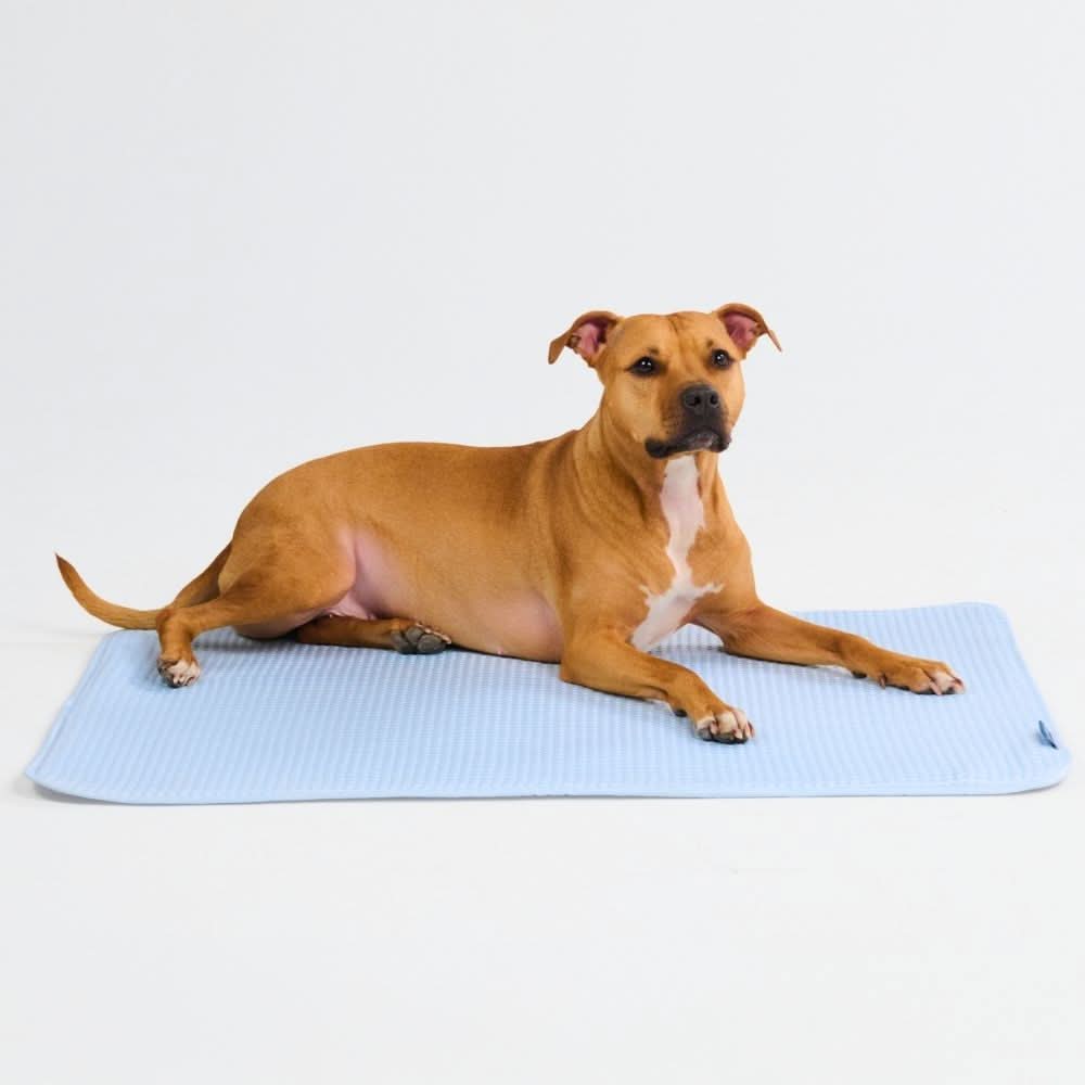 Product image 94