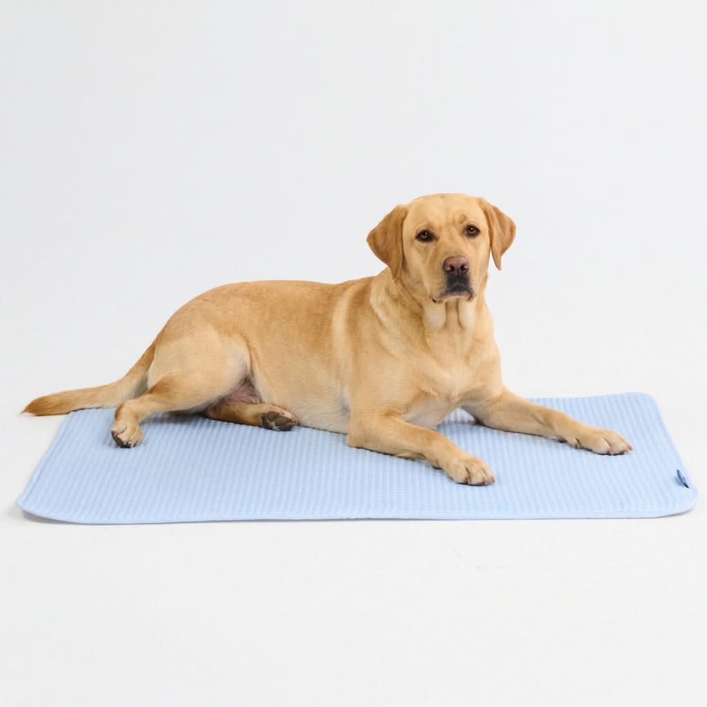 Product image 95